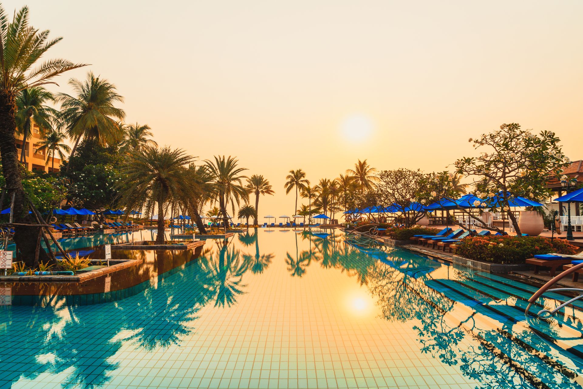 Palm trees and loungers beside a resort pool
