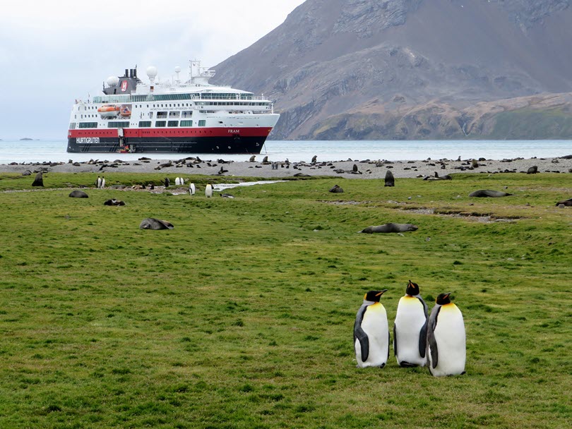 An expedition cruise ship anchored off a shore of king penguins and fur seals